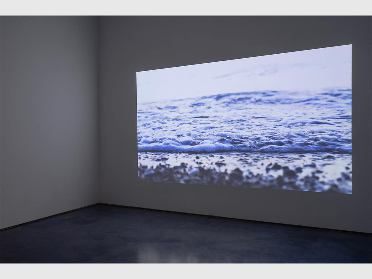 everything left unsaid - exhibition documentation images by Blain Campbell. Libby Leshgold Gallery. Artworks by Jagdeep Raina.