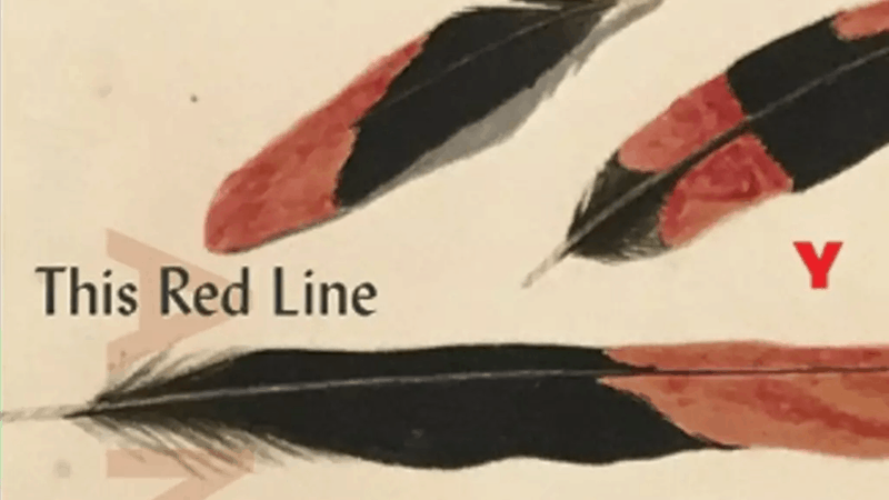 This Red Line Goes Straight to the Heart
