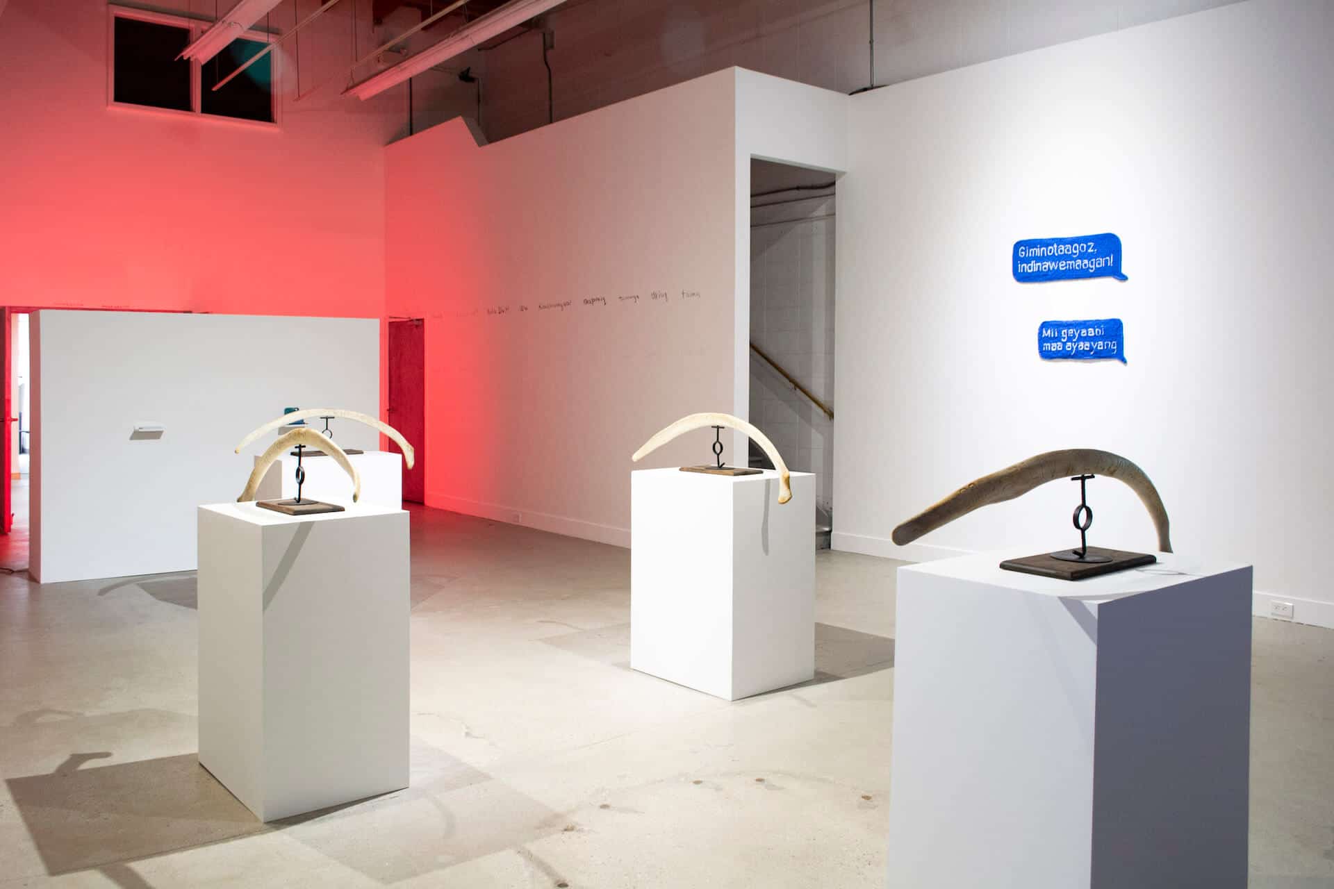 "Taskoch pipon kona kah nipa muskoseya, nepin pesim eti pimachihew | Like the winter snow kills the grass, the summer sun revives it", installation shot.