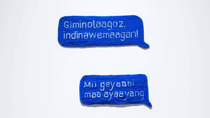 Joi T. Arcand Title: ēkāwiya nēpēwisi (don’t be shy)