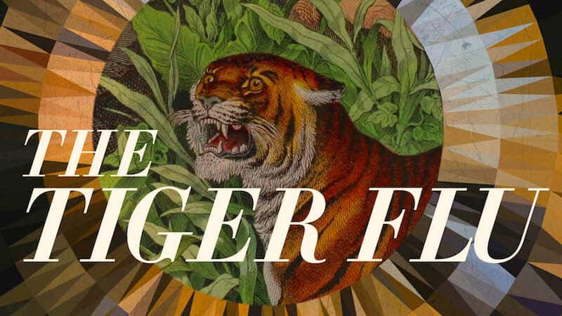 The Tiger Flu: a novel by Larissa Lai