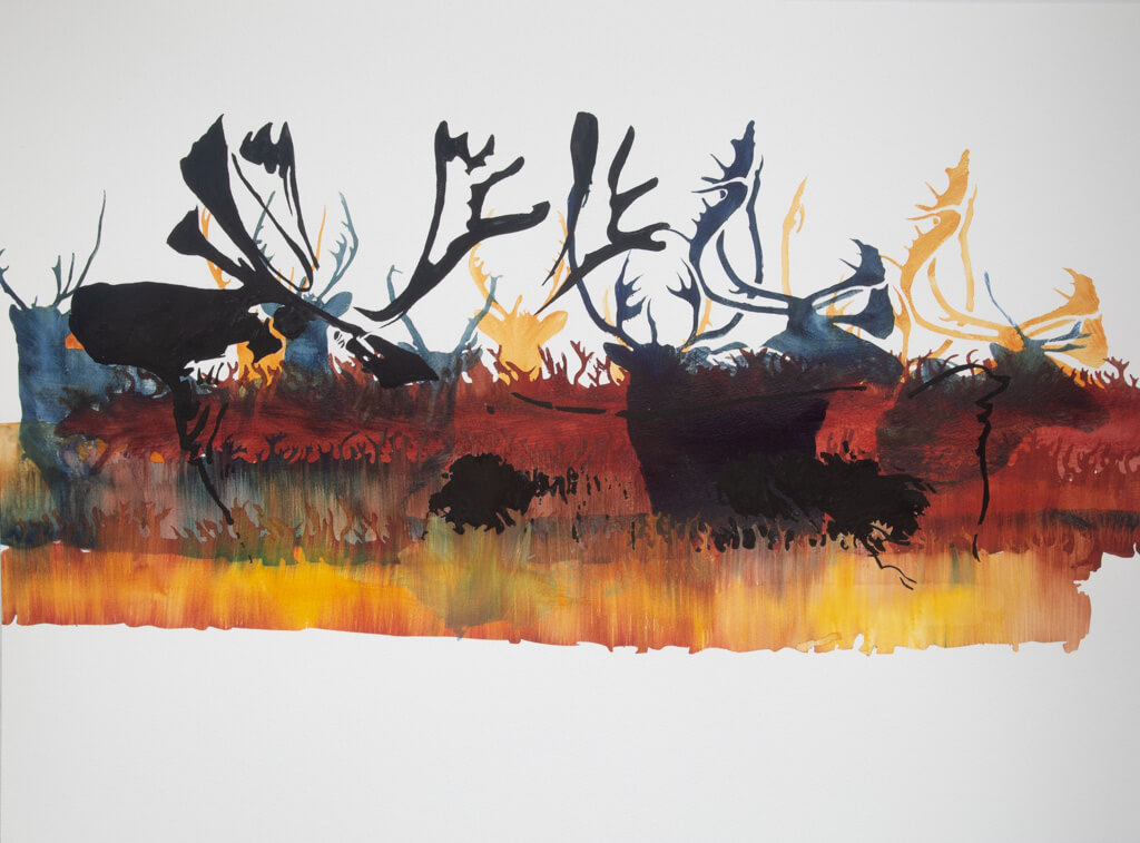 Caribou and Norther Lights - Black