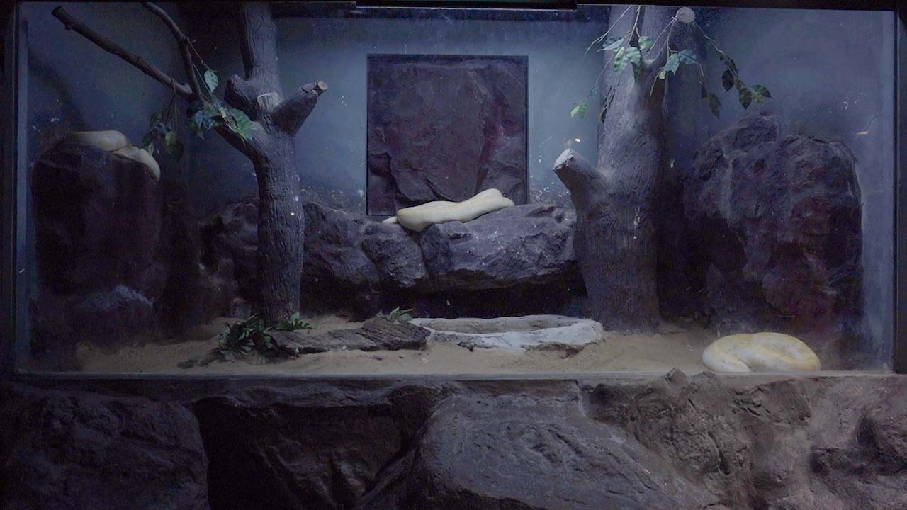 Shadow and Act  Artist: Taiki Sakpisit