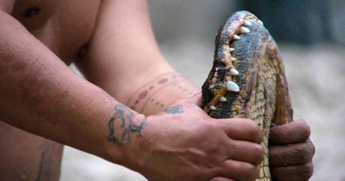 Halpate. Directors: Adam Khalil and Adam Piron