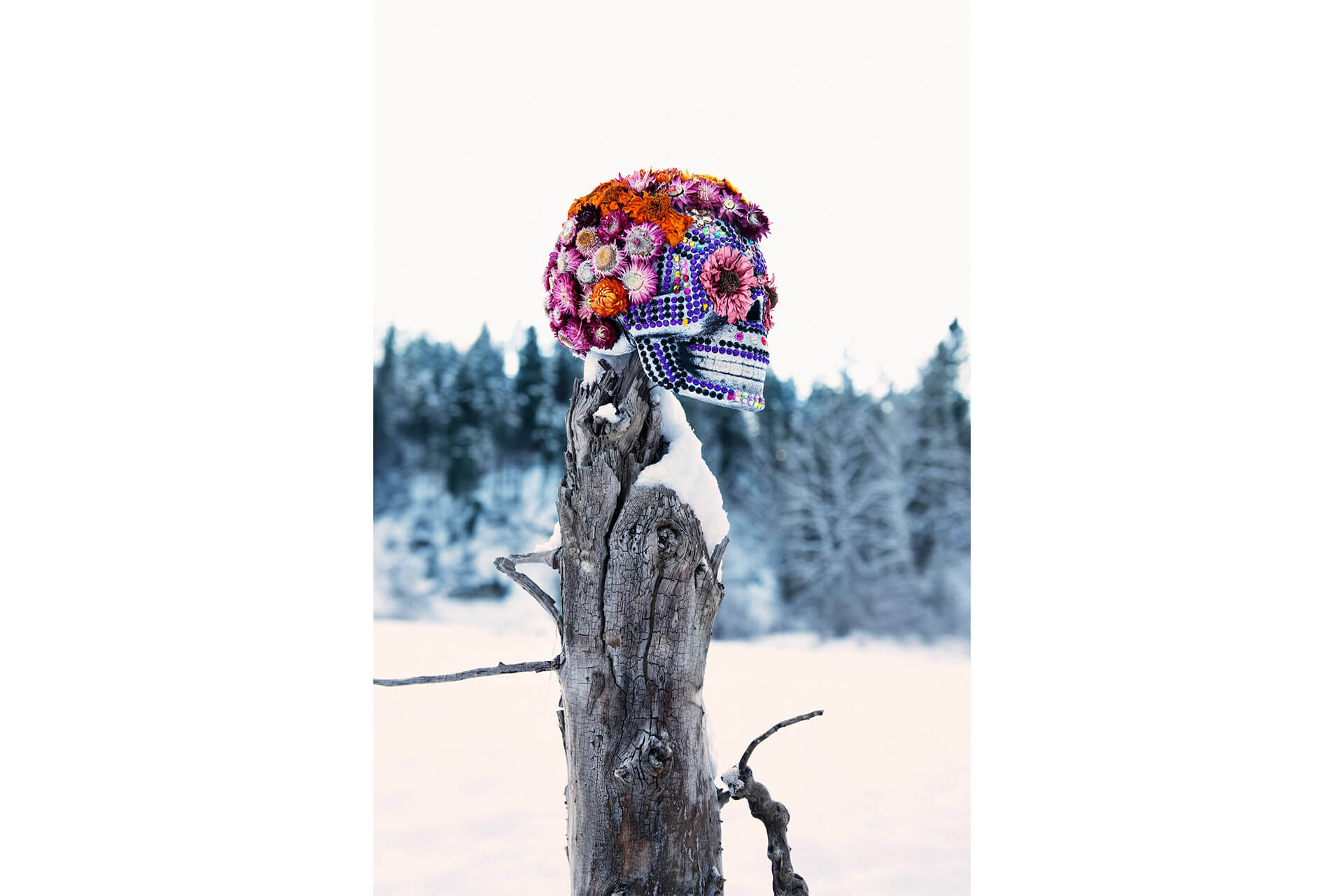 Copyright: Rocio Graham