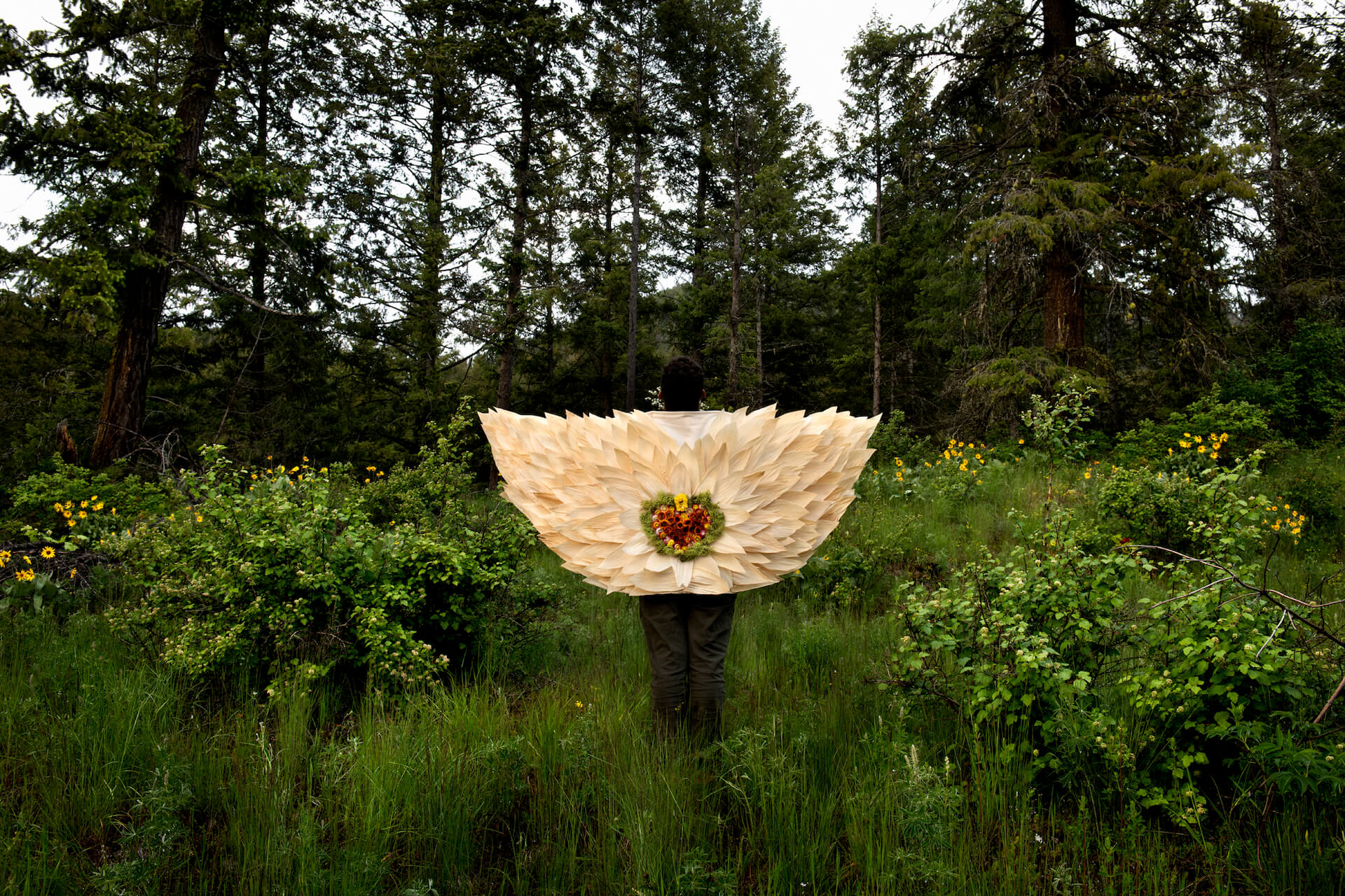 Copyright: Rocio Graham